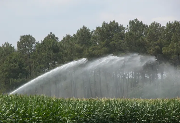 Maïs : quelles avancées attendues sur le stockage de l’eau en 2025 ?