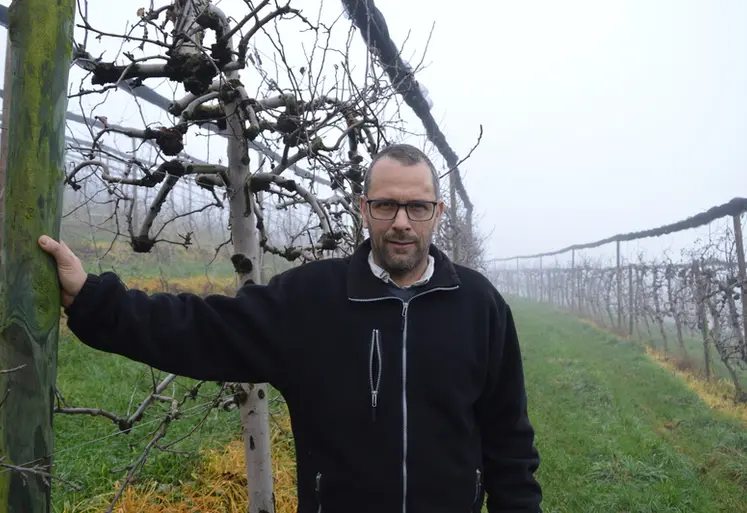 <em class="placeholder">Mickaël Mazenod, arboriculteur à Saint-Paul-en-Jarez, dans la Loire. </em>