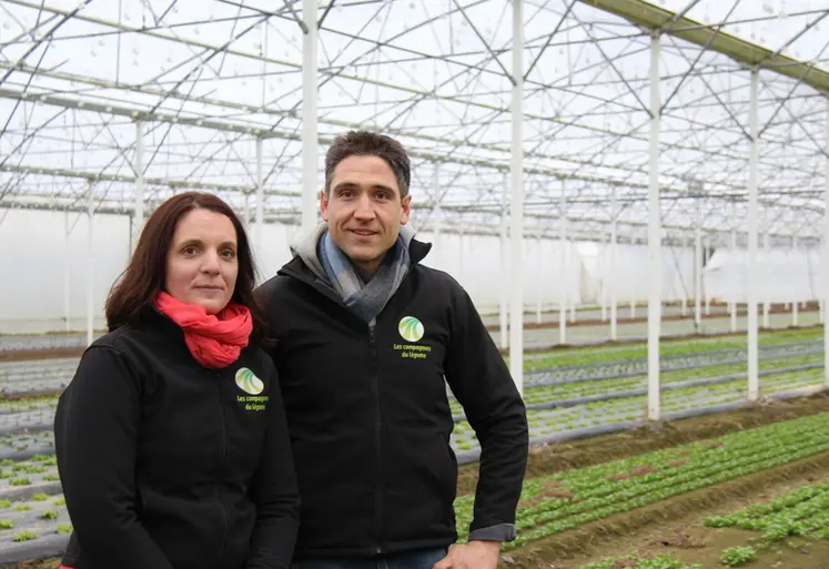 <em class="placeholder">Pauline et Stéphane Dreumont, maraîchers dans l'Oise.</em>