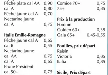 Vignette
