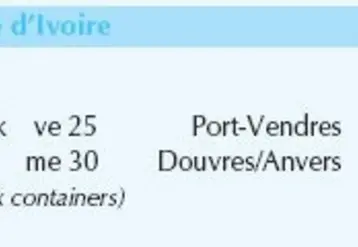 Vignette