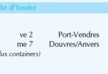 Vignette