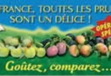 Vignette