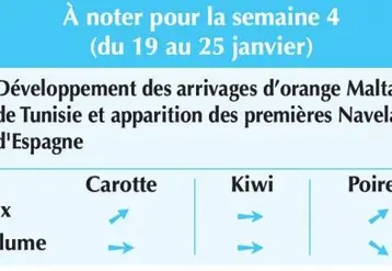 Vignette
