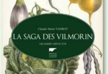 Vignette