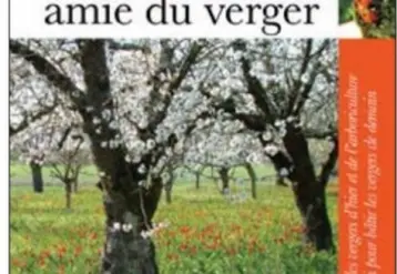 Vignette