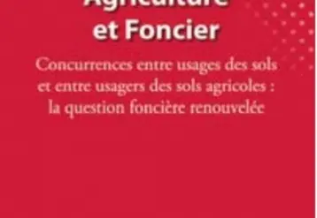 Vignette