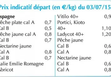Vignette