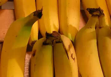 gros plan banane
