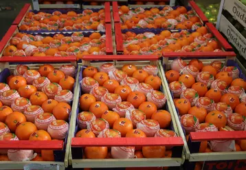 orange rungis