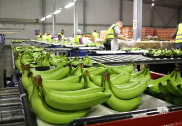 banane