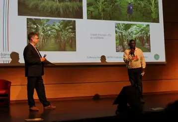 Un producteur de bananes de la Martinique a témoigné de son action pour réduire son utilisation de phytos. © A. Lasnier