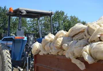 La nouvelle usine installée dans le Gard serait en capacité de nettoyer 10 000 tonnes de plastiques agricoles et de les transformer en une autre matière réutilisable. © C. Zambujo