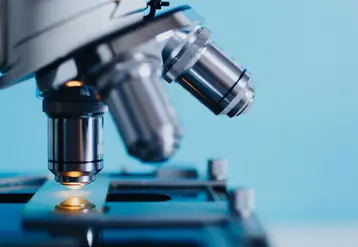 Les micro-organismes sont les substances de biocontrôle qui ont connu la plus forte progression entre 2011 et 2019.