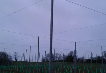 L'acier présente l'avantage d'être beaucoup plus léger que le bois ou le béton. © M. Boyé