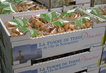 La valorisation de la Primeur s’est faite notamment sur le caractère saisonnier du produit et son origine © DR