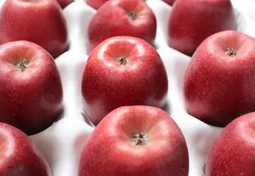 La France est septième dans le classement de la compétitivité des pays producteurs de pomme.  © RFL