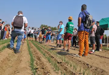 Les ateliers Tech&Bio organisés à la station expérimentale de la Serail ont été l’occasion de confirmer cet engouement régional pour la bio qui compte près de 7 000 exploitations en Auvergne Rhône-Alpes. © C.Perrier