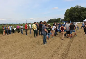 Arterris qui souhaite atteindre 500 t dans cinq ans, a déjà accueilli une journée technique asperge organisée par l'AOPn asperge de France. © RFL