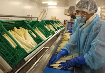 Pour les producteurs de légumes, la crise a été principalement organisationnelle, au niveau des circuits commerciaux et de la main-d’œuvre. © RFL