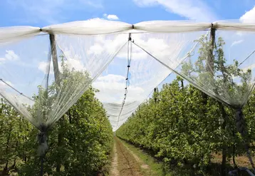 Des aides à l'agroéquipement pour s'adapter au changement climatique sont possibles.  © RFL