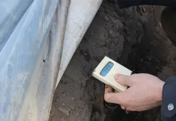 L’asperge doit être dans une « plage de température de confort », entre 18°C à 20 °C, à 20 cm sous le haut de la butte. © RFL