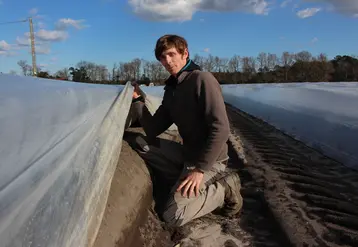 Maxime Gemain a réduit de 30 % les apports d’eau sans faire subir de stress hydrique à ses asperges.  © RFL