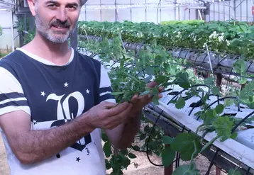En médaillon,Stéphane Gay a transformé une ancienne serre en jardin suspendu pour diversifier ses productions. © RFL