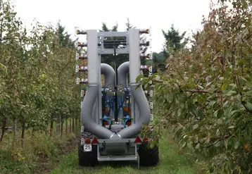 L’application des méthodes d'adaptation de la dose conduisent à une réduction de l’IFT de 15 % en moyenne sur les vergers de plus de cinq ans, et même de 40 à 70 % sur les trois premières années du verger. © RFL