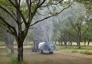 Un puissant pulvérisateur est nécessaire pour que les gouttelettes d’argile puissent atteindre la canopée des noyers. © I. Doucet