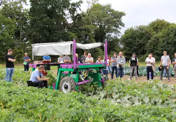 Le Ponchon, qui pèse 700-800 kg et peut charger 300 kg, peut être produit avec un écart entre roues de 120 à 190 cm.