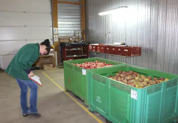 L’agréage des lots est essentiel pour déterminer les conditions de conservation optimale de chaque lot.