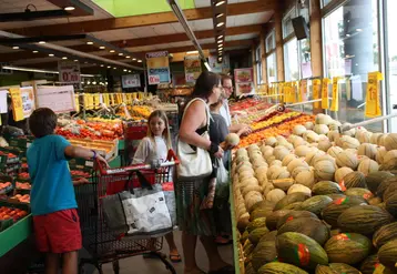 Le calibre constitue le critère le plus structurant des cours de marché. 