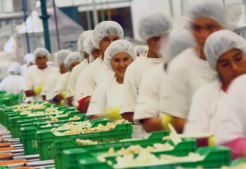 En 2020, les Péruviens ont exporté plus de 125 000 tonnes d'asperges pour une valeur de 377,1 millions de dollars US.