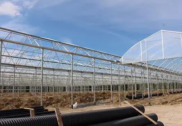 Pour faire face aux aléas climatiques, ces serres peuvent être chauffées avec une énergie renouvelable. 