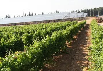 Les agriculteurs et développeurs photovoltaïques doivent pouvoir attester de procurer en priorité un service agricole à l'exploitation tout en évitant l'artificialisation des sols.