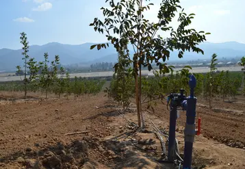 La gestion des ressources en eau est un enjeu important pour l'arboriculture chilienne qui se dote des nouvelles technologies.