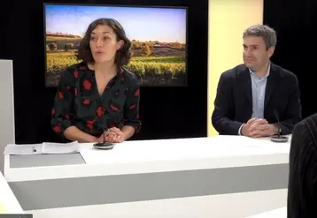 Selon Anne Duval, du GIE de la transition écologique, les start-ups et PME de biocontrôle font face à des dimensions de temps conflictuelles dans la gestion de leurs projets.