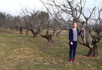 L'AOPn "Cerise de table" va pouvoir s'appuyer sur le travail de Blandine Renault, étudiante ingénieur AgroParisTech, pour établir un diagnostic réalisé auprès des producteurs de cerise du Ventoux. 