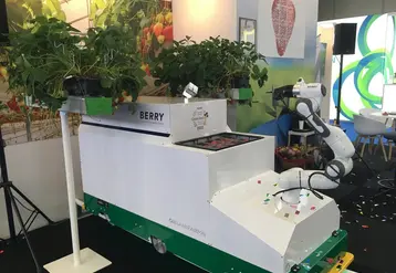 Berry est un robot cueilleur de fraises dont les premiers modèles sont d'ores et déjà vendus.