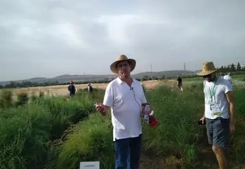 L’asperge à la pointe de la recherche