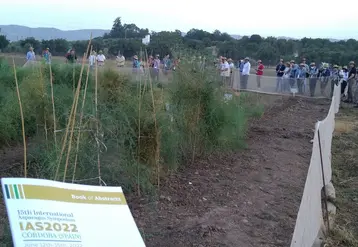 Plus de cent chercheurs et spécialistes de l'asperge ont participé au 15e International Asparagus Symposium  avec notamment la visite des collections d'asperges sauvages de l’Université de Cordoue. 