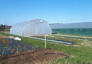 Le tunnel mobile a été utilisé pour intensifier la production, avec quatre déplacements la deuxième année.