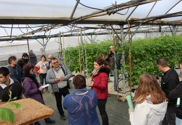 « En intégrant un atelier maraîchage à son expérimentation Fruits rouges, la station répond à un intérêt grandissant des professionnels pour cette filière », mentionne Karine Barrière, directrice de la station.