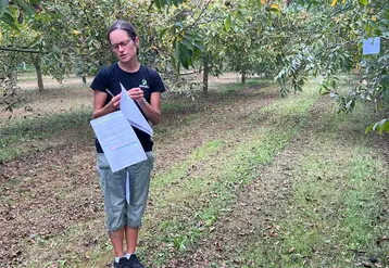 Delphine Sneedse, chargée d'expérimentation à la Senura, a présenté les résultats d'essais menés pendant trois ans sur l’usage du glyphosate dans les noyeraies.