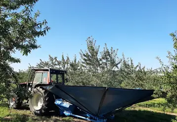 Majoritaire dans les vergers, le système « vibreur-corolle » est parfaitement adapté à la conduite en gobelet.
