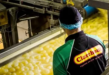 Le belge Clarebout Potatoes veut invertir 140 M€ dans une unité de transformation de pommes de terre sur le port de Dunkerque.  © Clarebout Potatoes