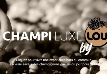  © Capture champiluxe.com