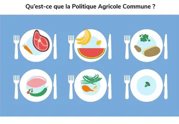 Un panel d'outils est prévu (ici une vidéo) © Ministère de l'Agriculture ...