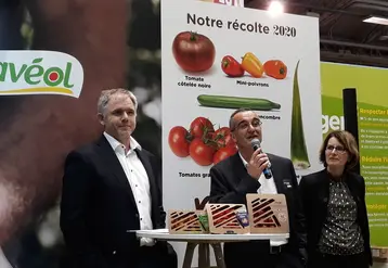 De gauche à droite : Pierre-Yves Jestin (président), Ronan Loison (ancien directeur de la coopérative du sel de Guérande Le Guérandais et nouveau directeur général de Savéol) et Catherine Legal, directrice marketing et communication, présentent le nouvel emballage carton. © Julia Commandeur - FLD